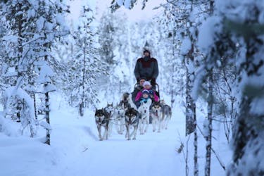 10km self-driven Husky sled adventure in Rovaniemi